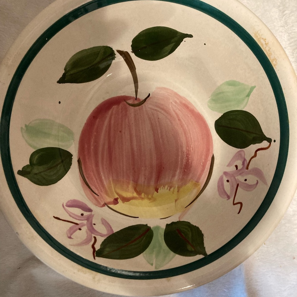 Vintage IronStone Pasta 10” Rossini Japan Hand Painted